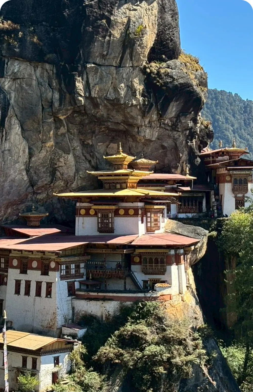 結合佛學院常年修持，願力不中斷